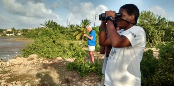 Anguilla National Trust Members took part in the 2016 Caribbean Waterbird Census to celebrate World Wetlands Day